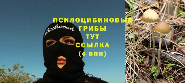 соль ск Тында