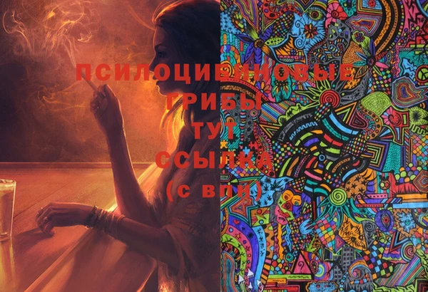 соль ск Тында